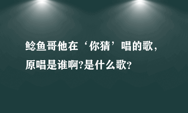 鲶鱼哥他在‘你猜’唱的歌，原唱是谁啊?是什么歌？