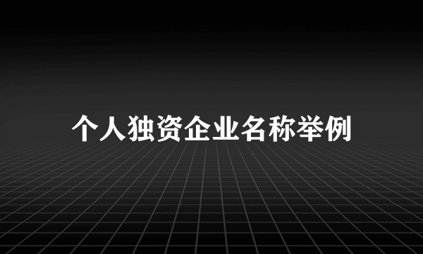 个人独资企业名称举例