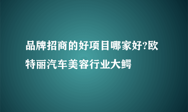 品牌招商的好项目哪家好?欧特丽汽车美容行业大鳄