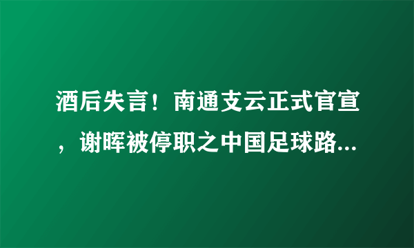 酒后失言！南通支云正式官宣，谢晖被停职之中国足球路在何方？