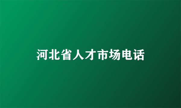 河北省人才市场电话