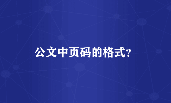 公文中页码的格式？