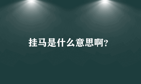 挂马是什么意思啊？