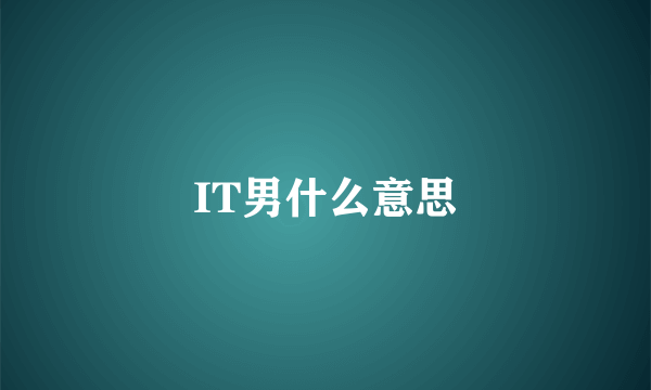 IT男什么意思