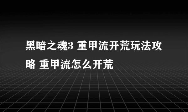 黑暗之魂3 重甲流开荒玩法攻略 重甲流怎么开荒