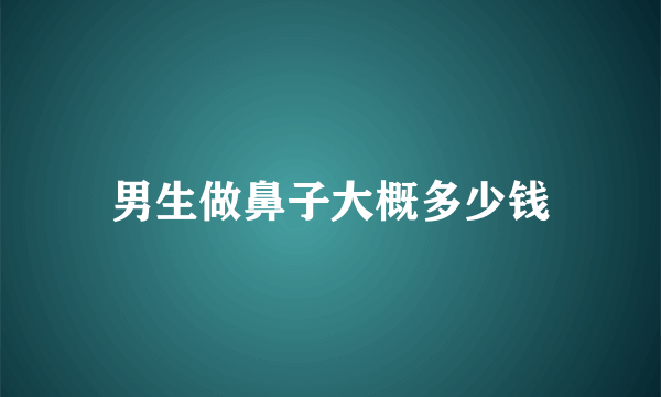 男生做鼻子大概多少钱