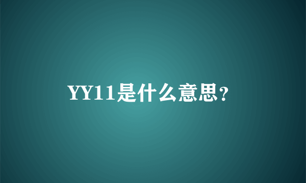 YY11是什么意思？