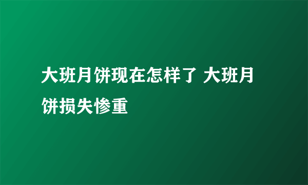 大班月饼现在怎样了 大班月饼损失惨重