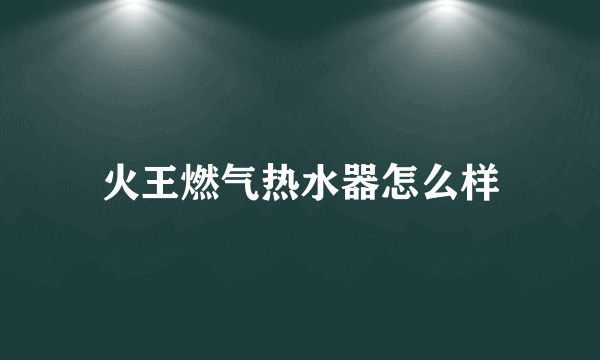 火王燃气热水器怎么样