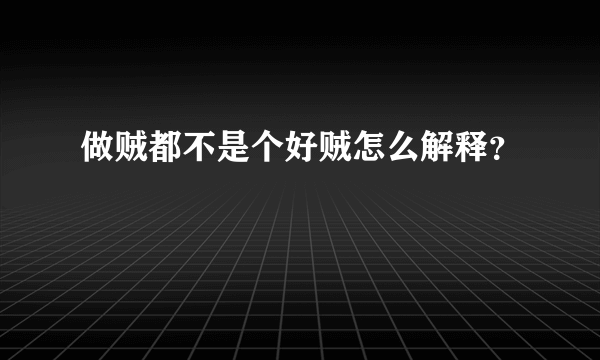 做贼都不是个好贼怎么解释？