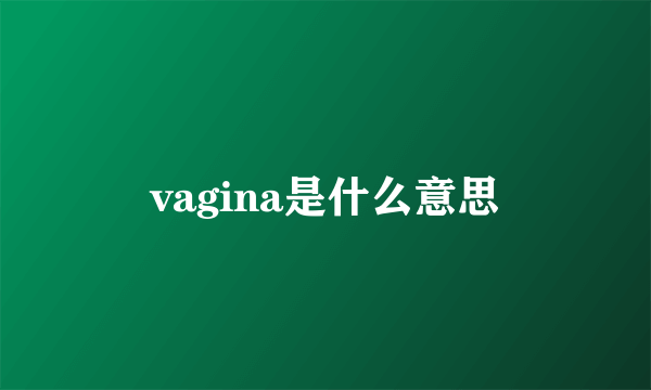 vagina是什么意思