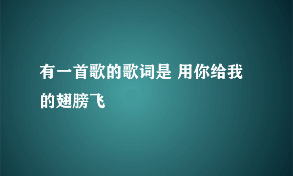 有一首歌的歌词是 用你给我的翅膀飞