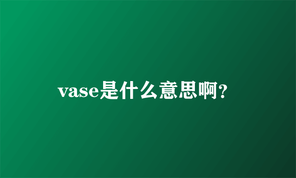 vase是什么意思啊？