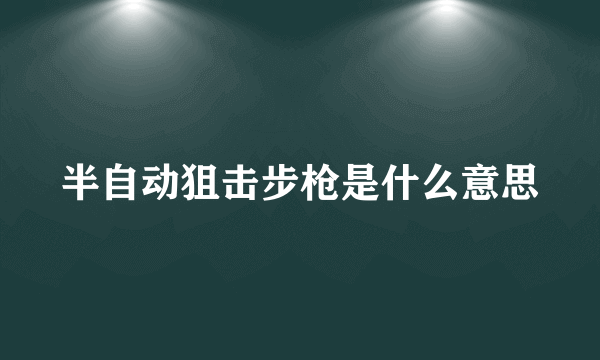 半自动狙击步枪是什么意思