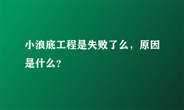 小浪底工程是失败了么，原因是什么？