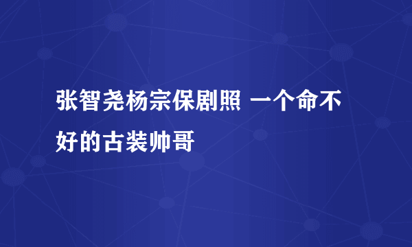 张智尧杨宗保剧照 一个命不好的古装帅哥