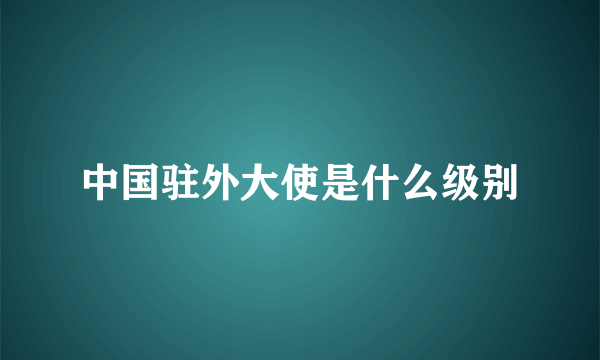 中国驻外大使是什么级别