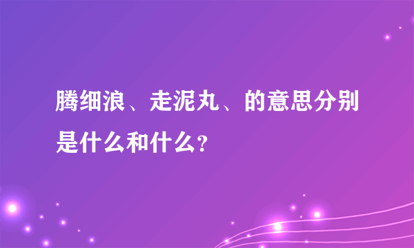 腾细浪、走泥丸、的意思分别是什么和什么？