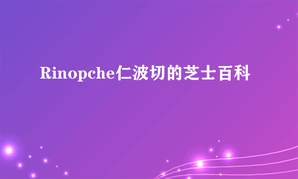 Rinopche仁波切的芝士百科