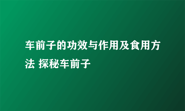 车前子的功效与作用及食用方法 探秘车前子