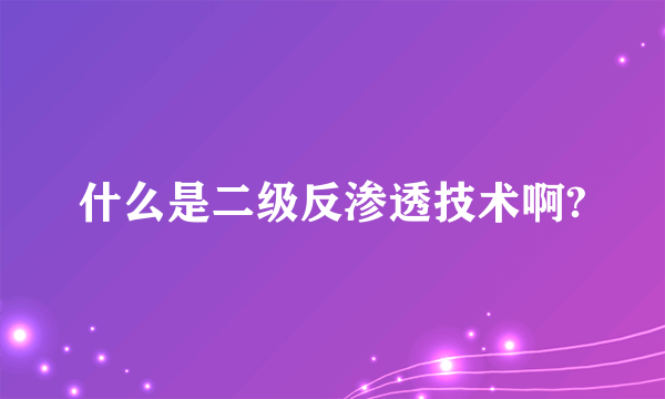 什么是二级反渗透技术啊?