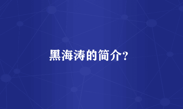 黑海涛的简介？