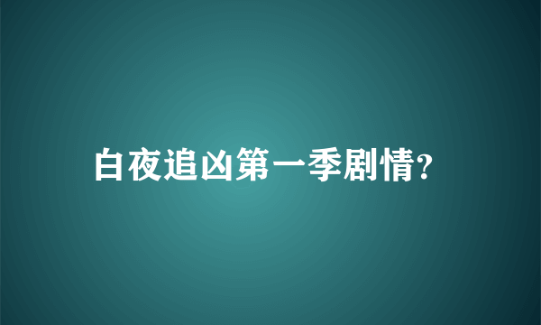 白夜追凶第一季剧情？