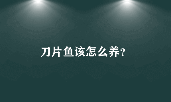 刀片鱼该怎么养？