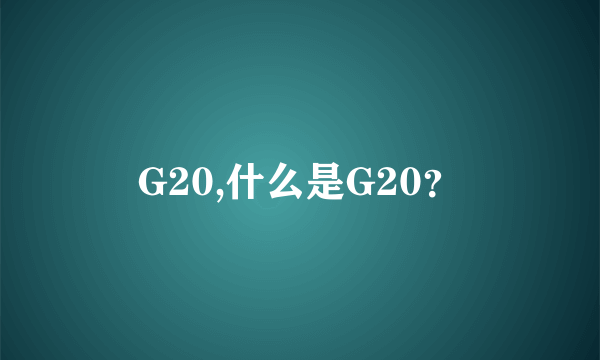 G20,什么是G20？