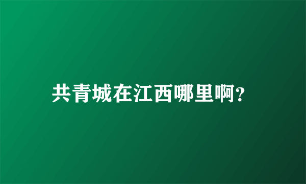 共青城在江西哪里啊？