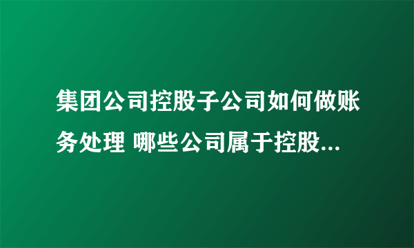 集团公司控股子公司如何做账务处理 哪些公司属于控股子公司的范围