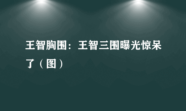 王智胸围：王智三围曝光惊呆了（图）