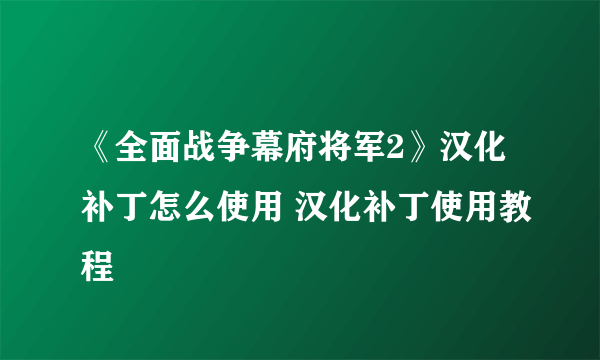 《全面战争幕府将军2》汉化补丁怎么使用 汉化补丁使用教程