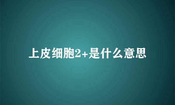 上皮细胞2+是什么意思