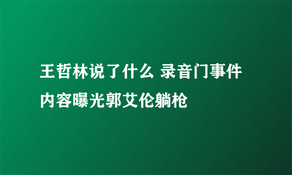 王哲林说了什么 录音门事件内容曝光郭艾伦躺枪