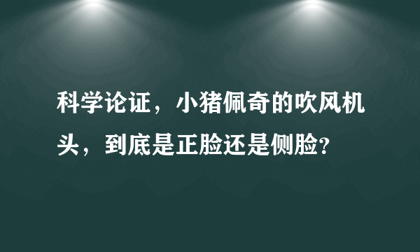 科学论证，小猪佩奇的吹风机头，到底是正脸还是侧脸？