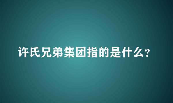 许氏兄弟集团指的是什么？