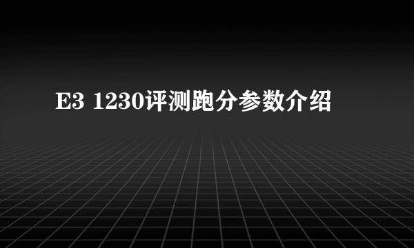 E3 1230评测跑分参数介绍