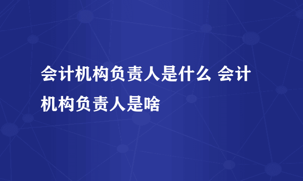 会计机构负责人是什么 会计机构负责人是啥