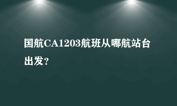 国航CA1203航班从哪航站台出发？