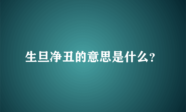 生旦净丑的意思是什么？