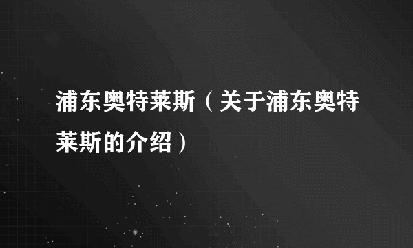 浦东奥特莱斯（关于浦东奥特莱斯的介绍）