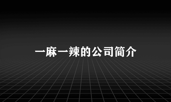 一麻一辣的公司简介