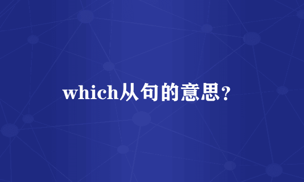 which从句的意思？