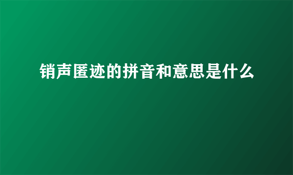 销声匿迹的拼音和意思是什么