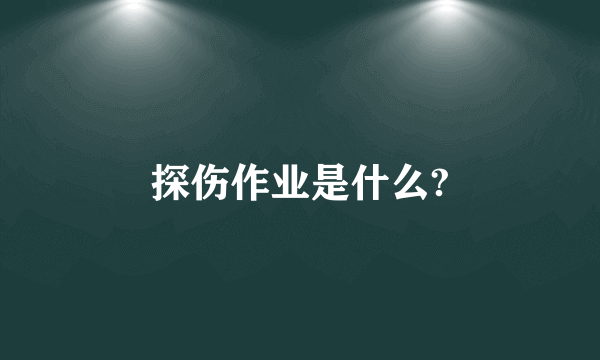 探伤作业是什么?