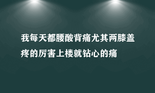 我每天都腰酸背痛尤其两膝盖疼的厉害上楼就钻心的痛