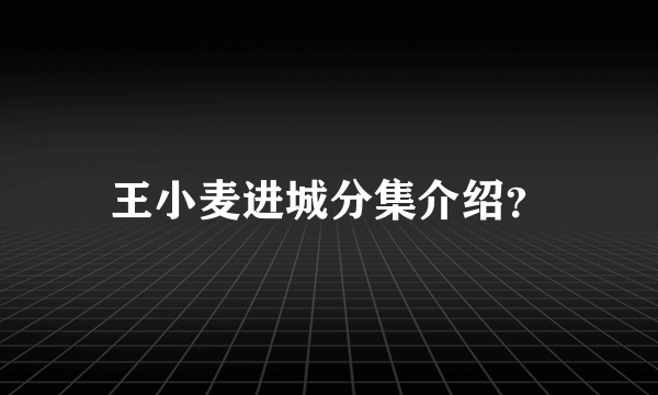 王小麦进城分集介绍？