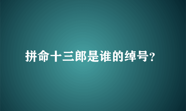 拼命十三郎是谁的绰号？