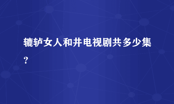 辘轳女人和井电视剧共多少集？